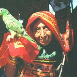 Kuna Indian holds Amazon parrot