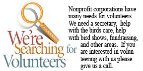 Looking for Volunteers graphic