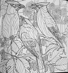 Birds and Blossoms coloring book of birds to color