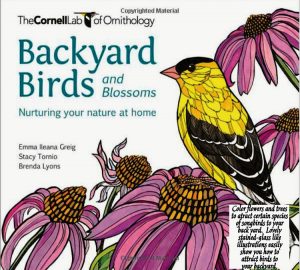 Birds and Blossoms coloring book artwork featuring a yellow bird sitting on pink flowers