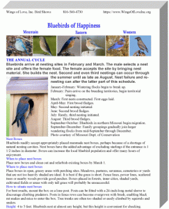 Bluebird nesting boxes printout preview box