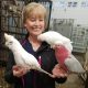 Even cockatoo species have different personalities